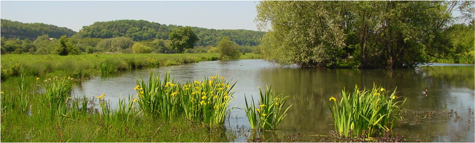 NatuurEijsderBeemden1